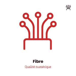 Icône fibre