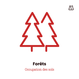 Icône forêts