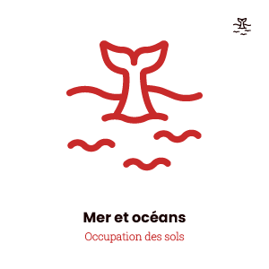 Icône mer et océan