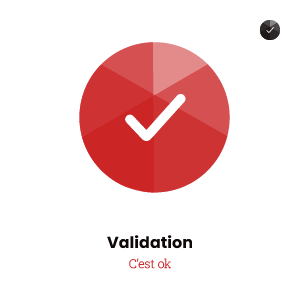 icone validation