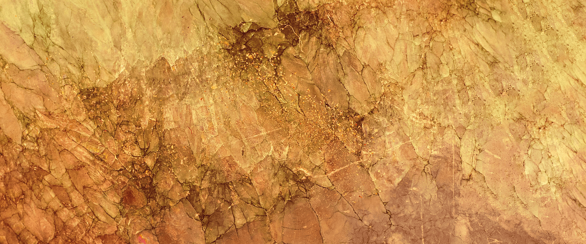 Photo de Erika Löwe